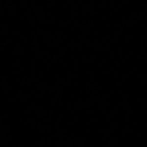 Meet your Posher, Noelle